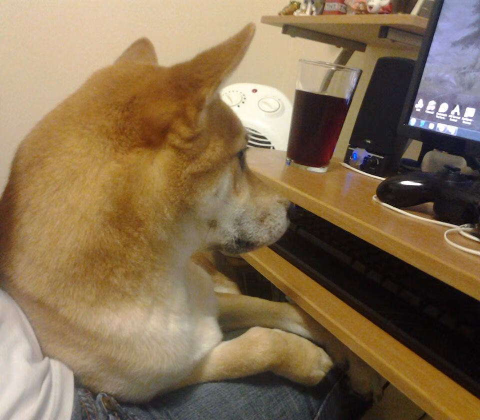 开云体育官方下载-布鲁诺·卡博克洛成为NBA全球球迷偶像，布洛克vs卡里