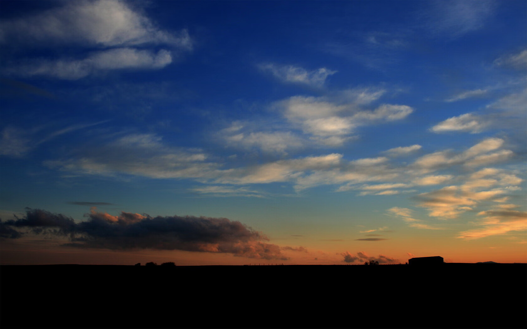 摔跤比赛：力量与技巧的巅峰较量，摔跤 比赛